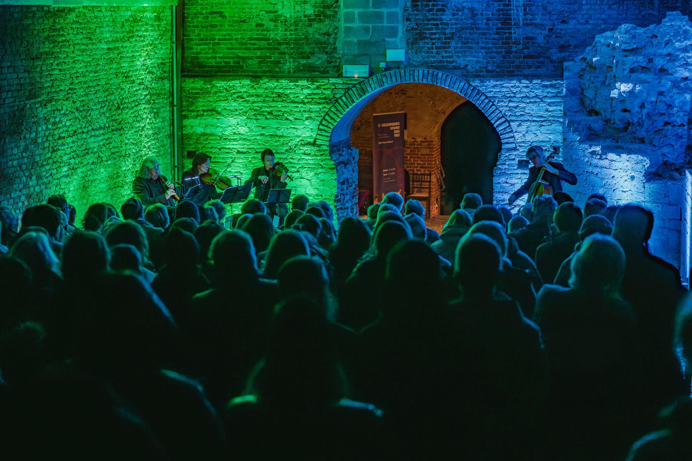 CSBF25 Il Gardellino